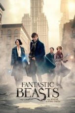 Download Fantastic Beasts and Where to Find Them (2016) Bluray 720p 1080p Subtitle Indonesia
