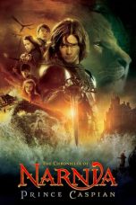 Download The Chronicles of Narnia: Prince Caspian (2008)